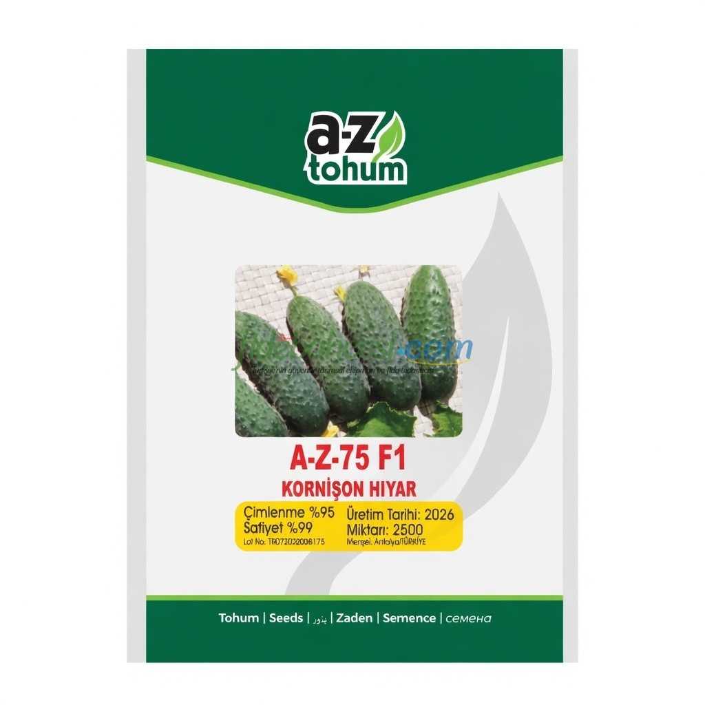 A-Z-75 F1 Dikenli Kornișon Turșuluk Hıyar Tohumu 