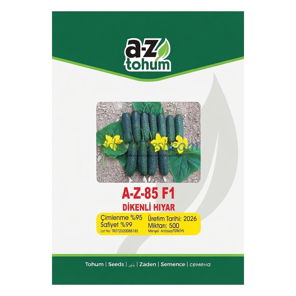 AZ 85 F1 Dikenli Sırık Hıyar Tohumu