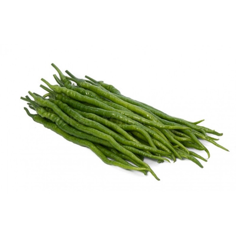 Çoban F1 Kıl Biber Fidesi