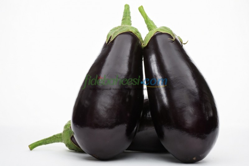 Karagül F1 Patlıcan Fidesi