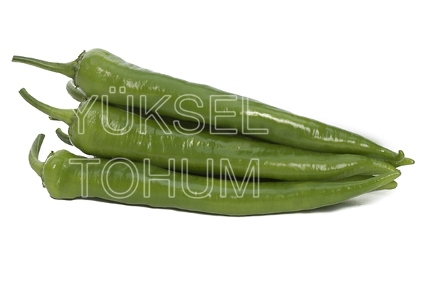 Mertcan F1 Biber Fidesi