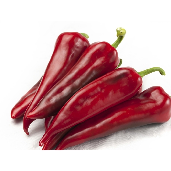 Serenad F1 Kapya Biber Fidesi