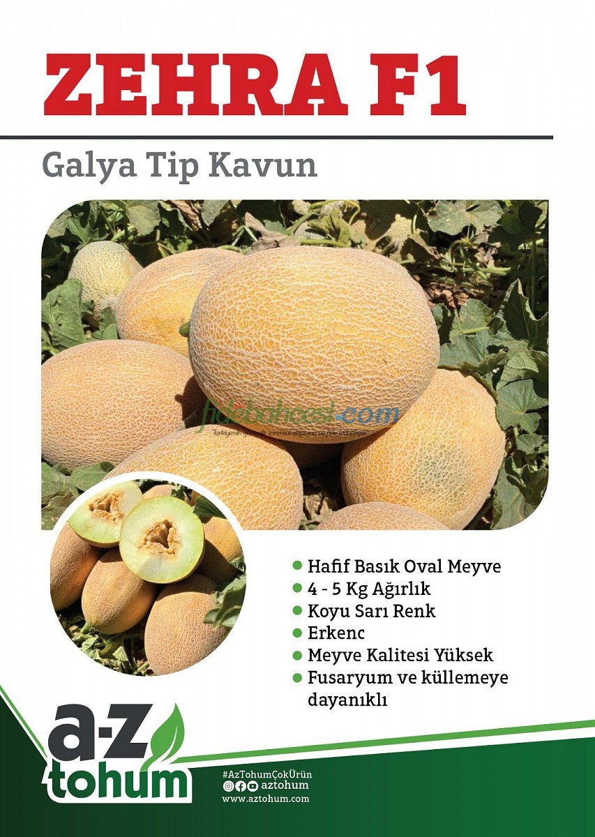 Zehra F1 Galya & Ananas Tip Kavun Tohumu